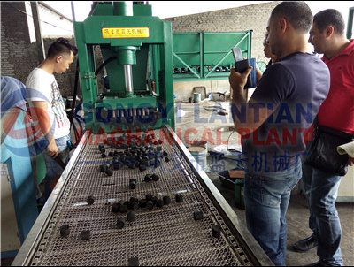 Coconut shell charcoal shisha briquettes machine